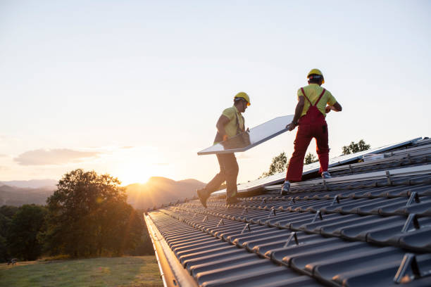 Best Chimney Flashing Repair  in Momence, IL