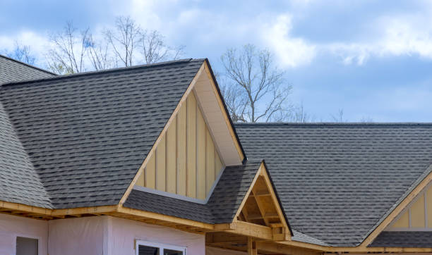 Reliable Momence, IL Roofing Services Solutions